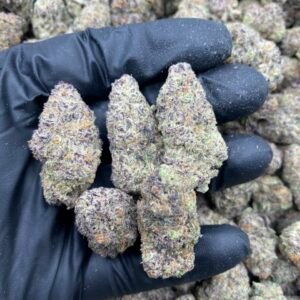 MIMOSA X PURPLE PUNCH